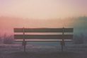 brown wooden bench in field