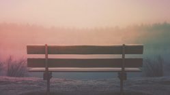 brown wooden bench in field