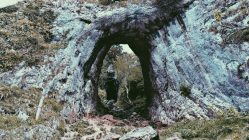 green grass covered rock formation at daytime